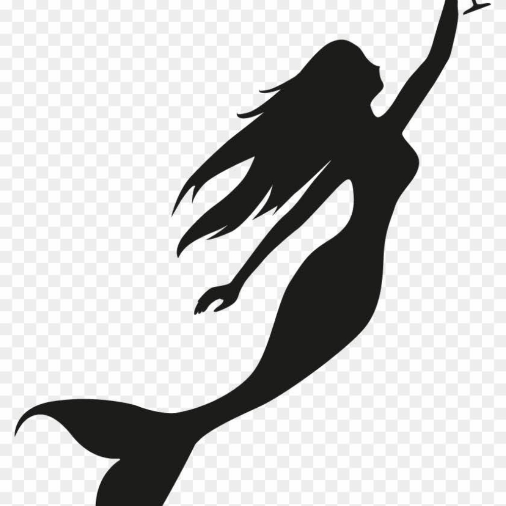 Meet your Posher, Another Year11